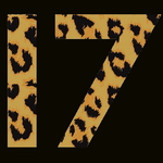 17_logo